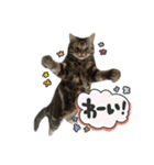 Reyくんと仲間たち（個別スタンプ：24）