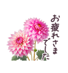 毎日使える お花 敬語✿大人上品お花（個別スタンプ：2）