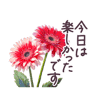 毎日使える お花 敬語✿大人上品お花（個別スタンプ：24）