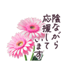 毎日使える お花 敬語✿大人上品お花（個別スタンプ：32）