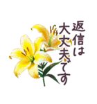 毎日使える お花 敬語✿大人上品お花（個別スタンプ：34）