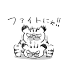 とらねこスタンプ3（個別スタンプ：38）