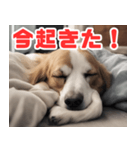 常に眠そうな犬（個別スタンプ：2）