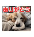 常に眠そうな犬（個別スタンプ：3）