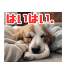 常に眠そうな犬（個別スタンプ：5）