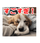 常に眠そうな犬（個別スタンプ：6）