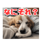 常に眠そうな犬（個別スタンプ：8）