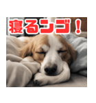 常に眠そうな犬（個別スタンプ：11）