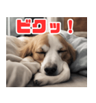 常に眠そうな犬（個別スタンプ：12）