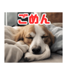 常に眠そうな犬（個別スタンプ：14）