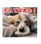 常に眠そうな犬（個別スタンプ：15）