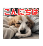 常に眠そうな犬（個別スタンプ：16）