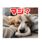 常に眠そうな犬（個別スタンプ：17）