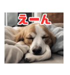 常に眠そうな犬（個別スタンプ：19）