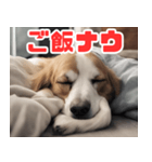 常に眠そうな犬（個別スタンプ：20）