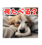 常に眠そうな犬（個別スタンプ：21）