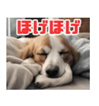 常に眠そうな犬（個別スタンプ：24）