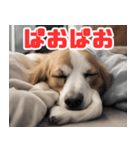 常に眠そうな犬（個別スタンプ：25）