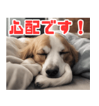 常に眠そうな犬（個別スタンプ：29）