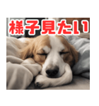 常に眠そうな犬（個別スタンプ：30）