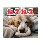 常に眠そうな犬（個別スタンプ：32）