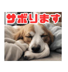 常に眠そうな犬（個別スタンプ：33）