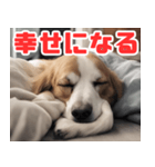 常に眠そうな犬（個別スタンプ：34）