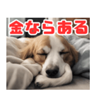 常に眠そうな犬（個別スタンプ：35）