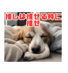 常に眠そうな犬（個別スタンプ：38）