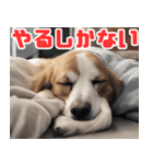 常に眠そうな犬（個別スタンプ：40）