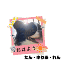 れん・ゆりあ・たんstamp（個別スタンプ：1）