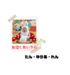 れん・ゆりあ・たんstamp（個別スタンプ：3）