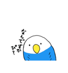 ぴよたでごじゃる（個別スタンプ：1）