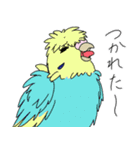 ふわふわ羽衣セキセイインコ2（個別スタンプ：10）