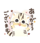 ねこちぃず♡ありがとうの言葉セット（個別スタンプ：5）