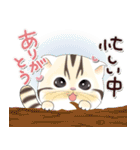 ねこちぃず♡ありがとうの言葉セット（個別スタンプ：16）