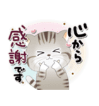 ねこちぃず♡ありがとうの言葉セット（個別スタンプ：19）