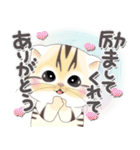 ねこちぃず♡ありがとうの言葉セット（個別スタンプ：34）