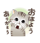 ねこちぃず♡ありがとうの言葉セット（個別スタンプ：37）