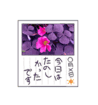 GARY@×ひふみんコラボFLOWERスタンプ（個別スタンプ：6）
