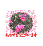 GARY@×ひふみんコラボFLOWERスタンプ（個別スタンプ：7）
