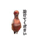 KENCHANCE（個別スタンプ：15）
