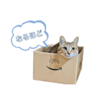 らんちゃんスタンプ/（個別スタンプ：7）