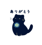 輝くクロねこ（個別スタンプ：5）