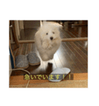 むつくんの日常（個別スタンプ：2）