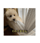 むつくんの日常（個別スタンプ：4）