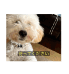 むつくんの日常（個別スタンプ：8）
