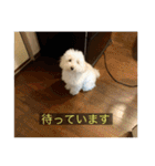 むつくんの日常（個別スタンプ：10）