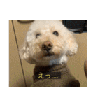 むつくんの日常（個別スタンプ：14）