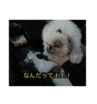 むつくんの日常（個別スタンプ：15）